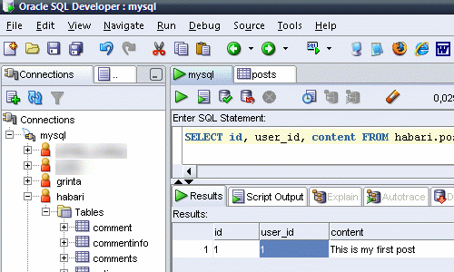 Oracle SQL Developer screenshot